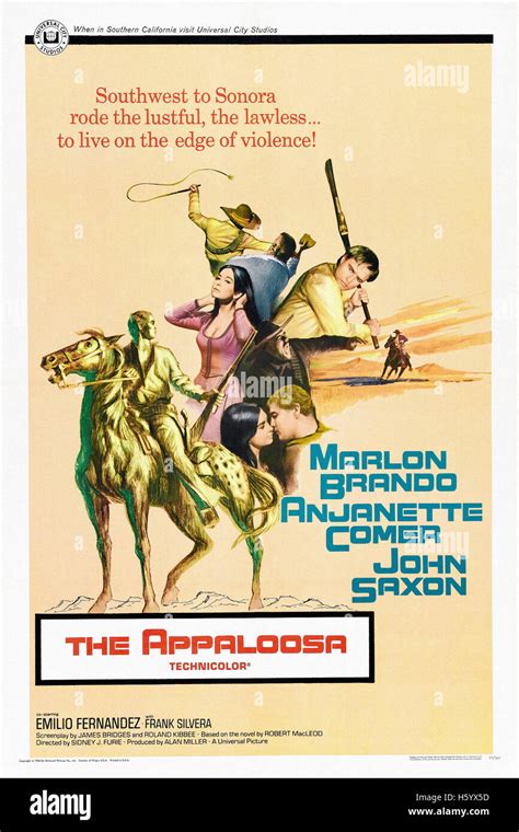 The Appaloosa - Movie Poster Stock Photo - Alamy