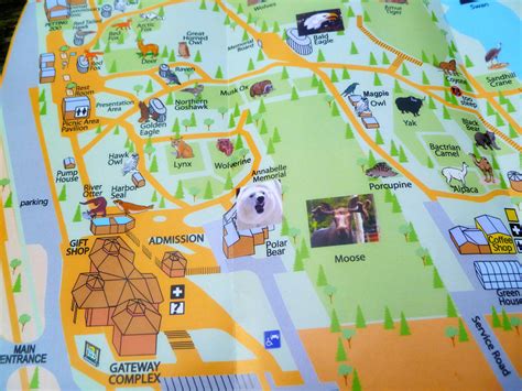 Zoo Map by InfraredUltraviolet on DeviantArt