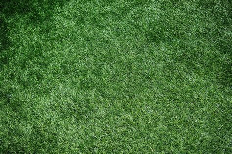 Pros & Cons of Artificial Grass | GCL Products Blogs