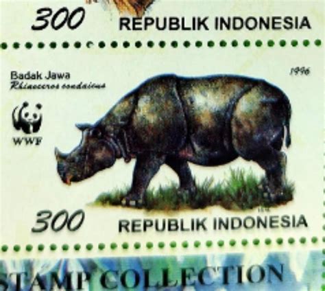 8 Perangko (1 set) seri Badak Jawa & Sumatera "WWF CONSERVATION', Antik, Filateli di Carousell