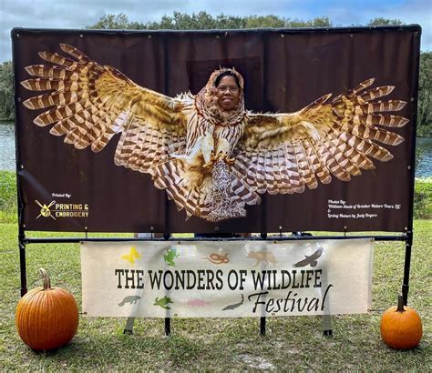 Wonders of Wildlife Festival