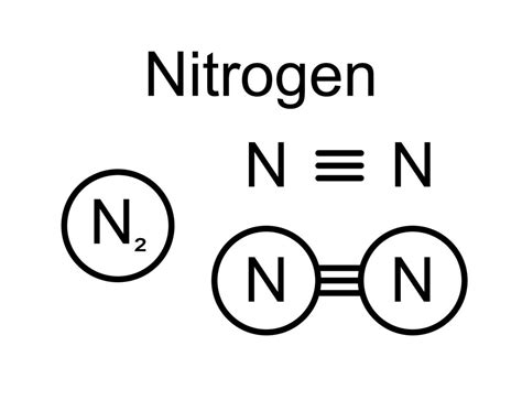 A Nitrogen Molecule N2 Has One Triple Bond How Many E - vrogue.co