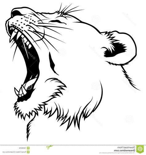 Female Lion Vector at Vectorified.com | Collection of Female Lion Vector free for personal use