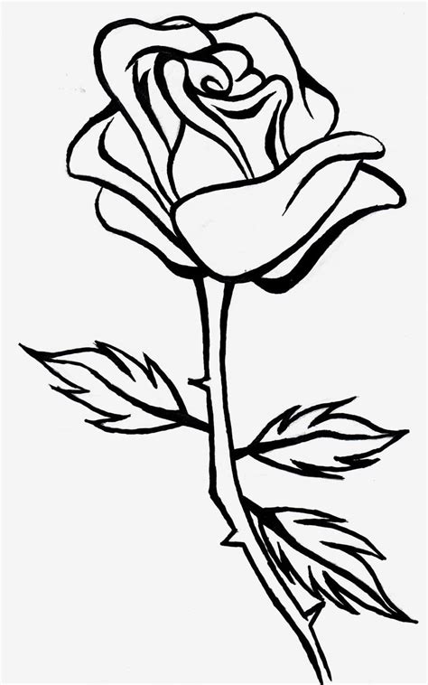 Rose Outline Drawing at PaintingValley.com | Explore collection of Rose Outline Drawing