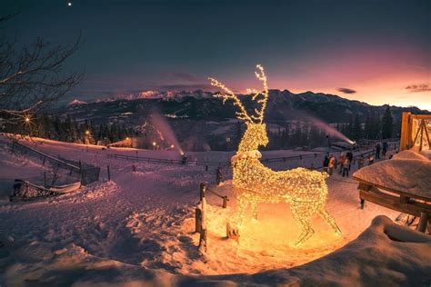 Wintertime in Poland - Poland Travel (EN) PROD