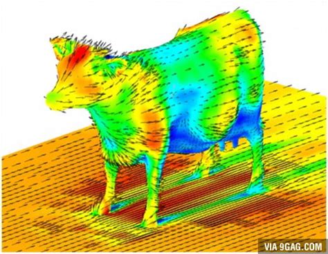 Aerodynamics of a cow... just in case you wondered. - 9GAG