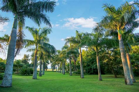 Summerfield Botanical Garden | The Kingdom of Eswatini (Swaziland)