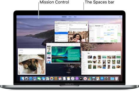 10 Ways to Fix the Mouse Cursor Disappearing on Mac - Saint