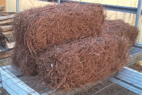 Pine Straw Bales Mulch | Straw mulch, Mulch, Straw bales