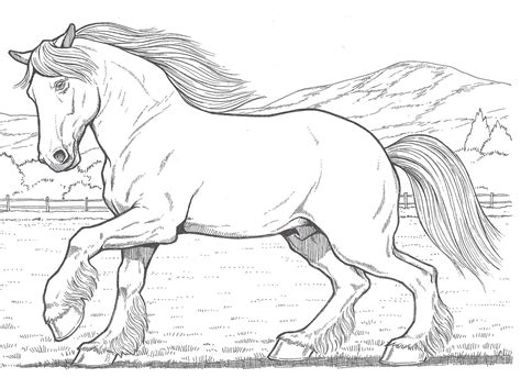 10 Top Clydesdale Horse Coloring Pages