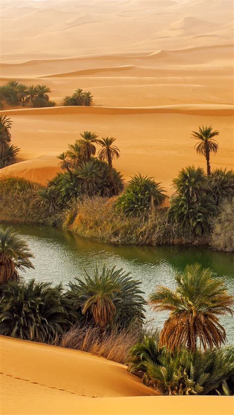 Oasis Umm-al-maa in Sahara Desert, Ubari Lakes, Libya | Windows Spotlight Images