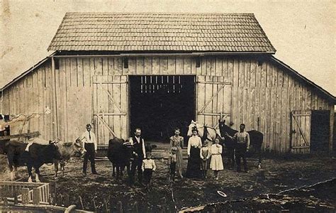 Typical barn in the late 1800s - Cattle and horses were used for working the farm.1920 | Old ...