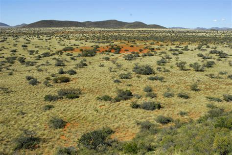 Richard Satekge | Senior Conservator | Tswalu Kalahari