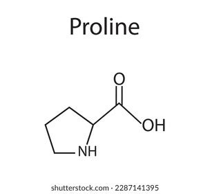 Proline Amino Acid Formula Structure Chemical Stock Vector (Royalty ...