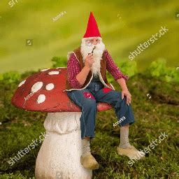 gnomes_are_real