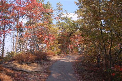 Red River Gorge Scenic Byway - Fall on Sky Bridge Trail - NARA & DVIDS ...