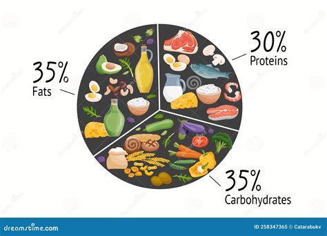 Set of Macronutrients. Carbohydrates, Proteins, Fats Presented by Food Products Stock Vector ...