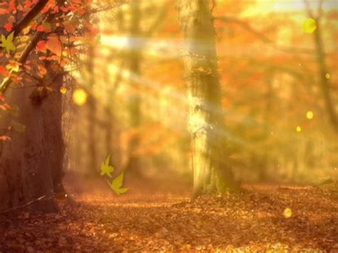 🔥 Autumn PowerPoint Nature Tree Background | CBEditz