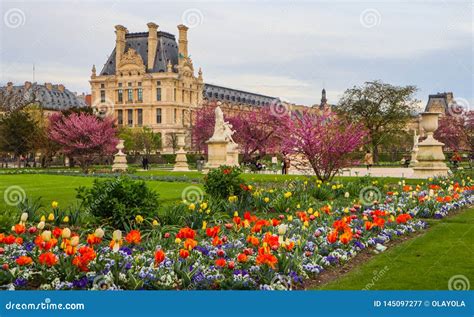 Tuileries Garden Paris