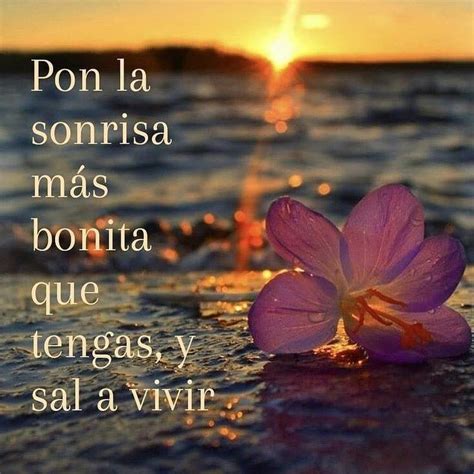 imagenesdeinternet felizdia | Cute spanish quotes, Spanish inspirational quotes, Quotes icons