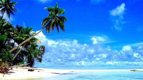 Tropical Beach Landscape Wallpapers