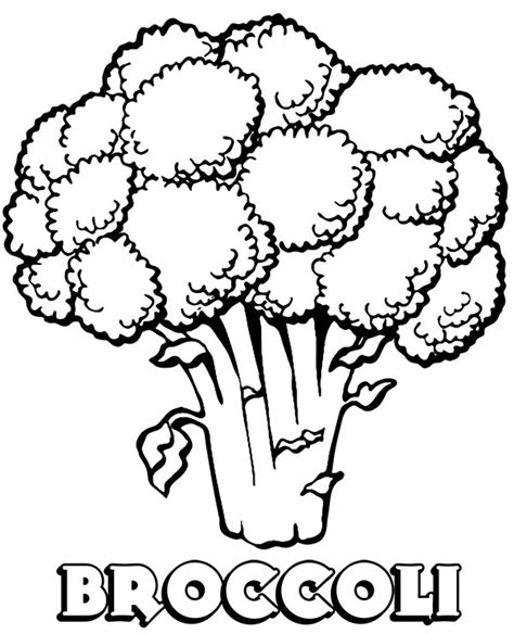 Broccoli coloring page vegetable - Topcoloringpages.net