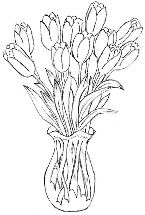 Tulip Outline Drawing at GetDrawings | Free download