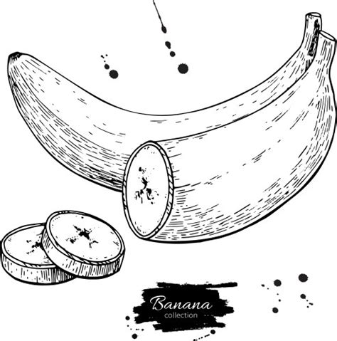 Banana Outline Vector Images (over 10,000)