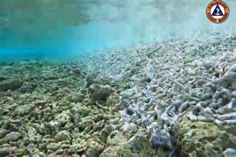 DFA ipinatitigil 'coral destruction' sa West Philippine Sea; Tsina ...