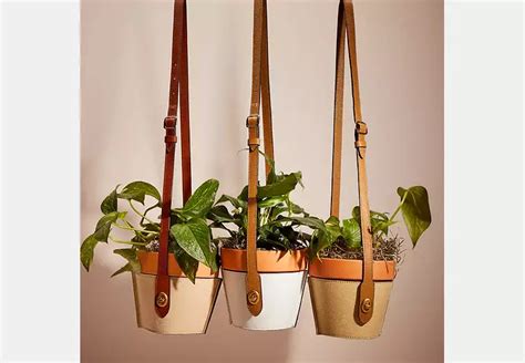 Remade Hanging Plant Pot Holder | COACH®