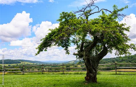 Sky Meadows State Park Stock Photo | Adobe Stock