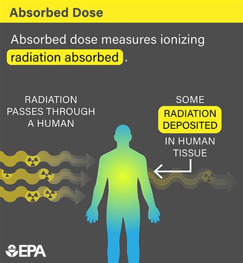 Radiation Terms and Units | US EPA