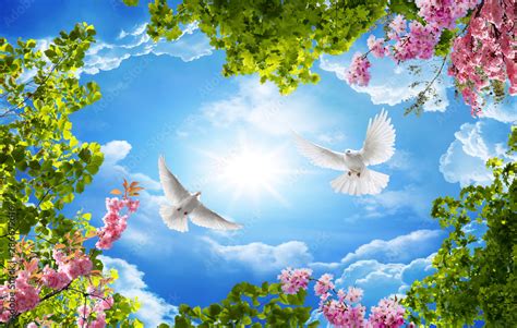 3d sky and bird wallpaper background Stock Photo | Adobe Stock