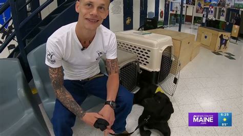 Inmates at Maine State Prison work with future service dogs in training with America's VetDogs ...