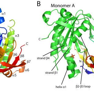 Proposed guanylate cyclase activation mechanism. Comparison of helix α1 ...