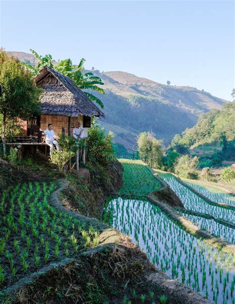 Couple Visit a Rice Farm with Rice Fields in Northern Thailand,rice Paddies in Mountains Chiang ...