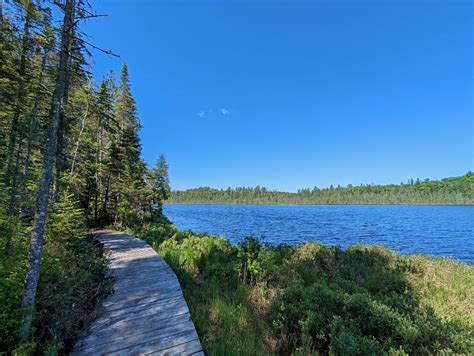 15 Algonquin Park Trails: Guide to the Best Hikes in Algonquin Park