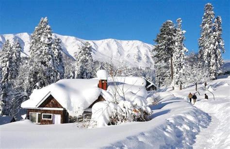 Pahalgam Gulmarg Srinagar Sonmarg Tour (142807),Holiday Packages to ...