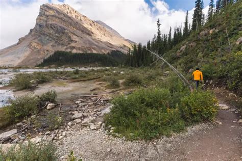 How to Hike to BOW GLACIER FALLS in Banff