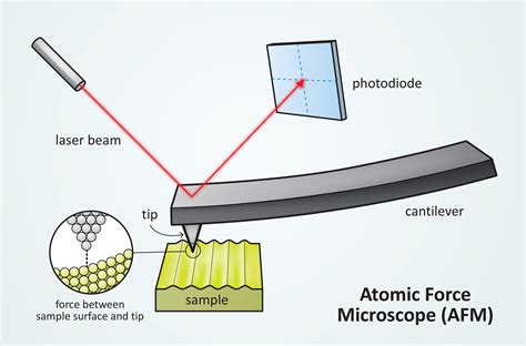 Scientific Image - Atomic Force Microscope Illustration | NISE Network