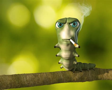 Caterpillar Smoking Cigarette (Origin) | Smoking Caterpillar / Krater | Know Your Meme