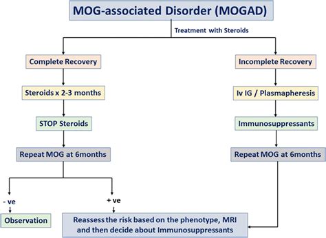 An algorithm in the management of a patient with MOG-associated ...