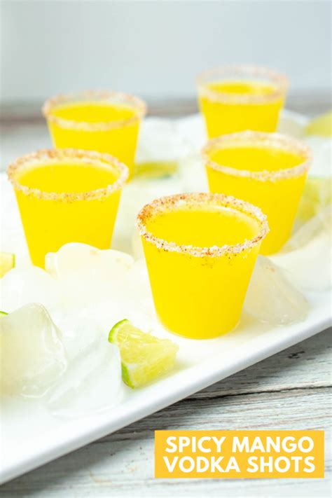 15 Fun 2-Ingredient Vodka Shots | Outside The Wine Box