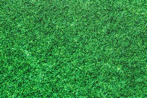 Green Grass Background Texture Free Stock Photo - Public Domain Pictures