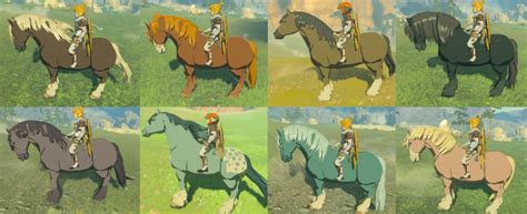 Breath Of The Wild Horse Colors