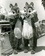 Chip and Dale Costumes Through the Years | Disney Wiki | FANDOM powered ...