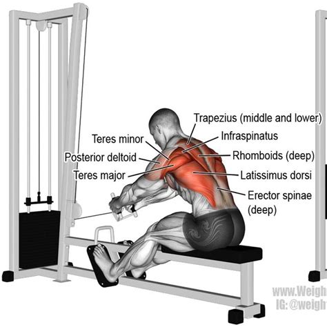 Cable Row by Jesus Perez - Exercise How-to - Skimble