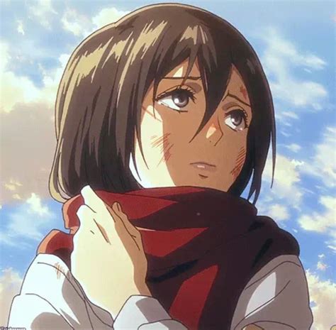 Mikasa Pfp - Mikasa S4 Ep 10♡ In 2021 | Garnrisnet