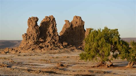 Lake Abbe Djibouti | Monika Salzmann – Travel Photography