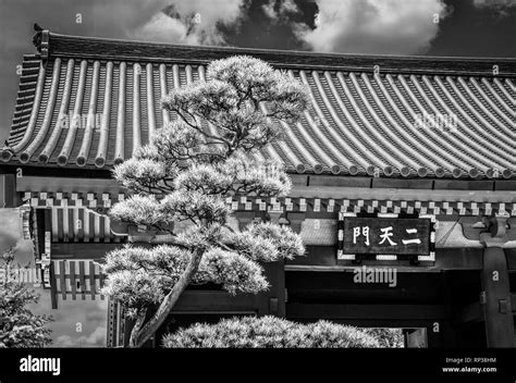 Beautiful temple in Tokyo - The Asakusa Sensoji Temple Stock Photo - Alamy
